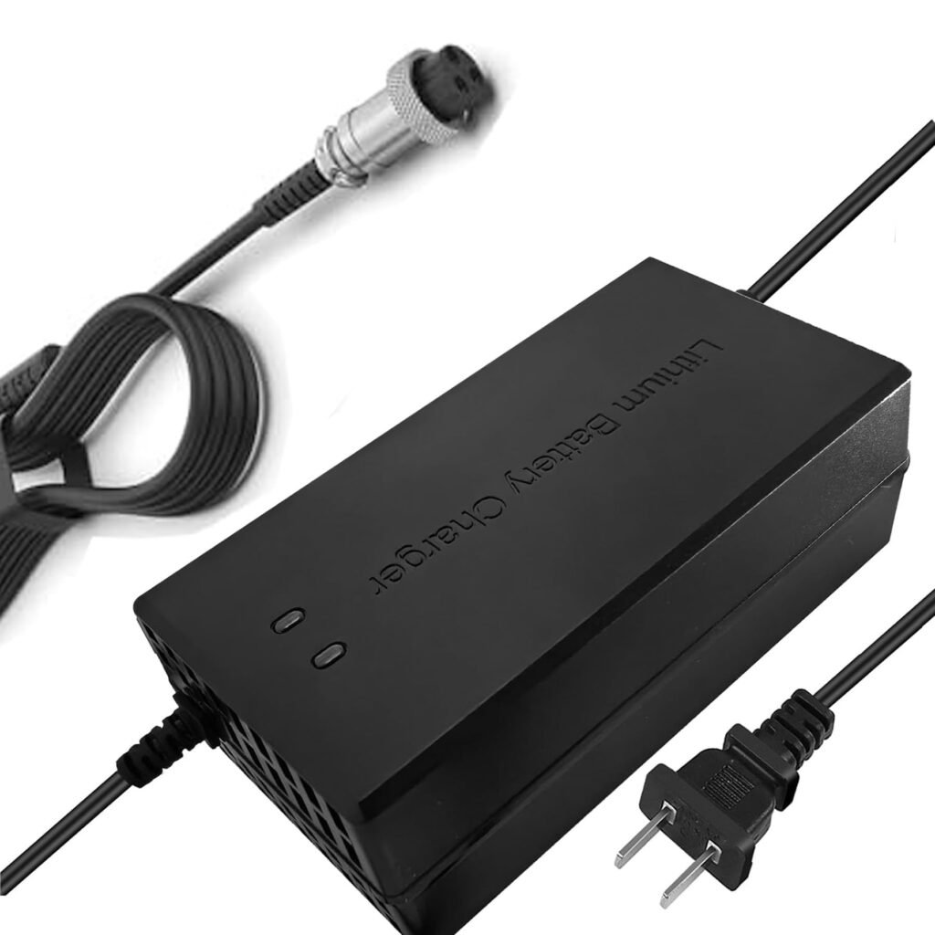 YAREMYEYE 67.2V 5A Li-ion Battery Smart Charger