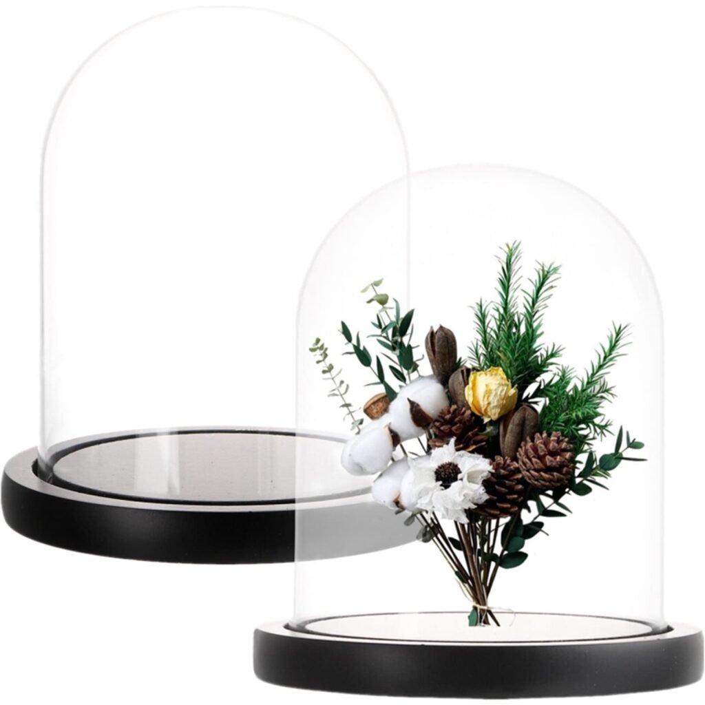 ZOOFOX Set of 2 Glass Dome Cloche with Black Wooden Base, 5.7" x 6.5" Decorative Bell Jar Display