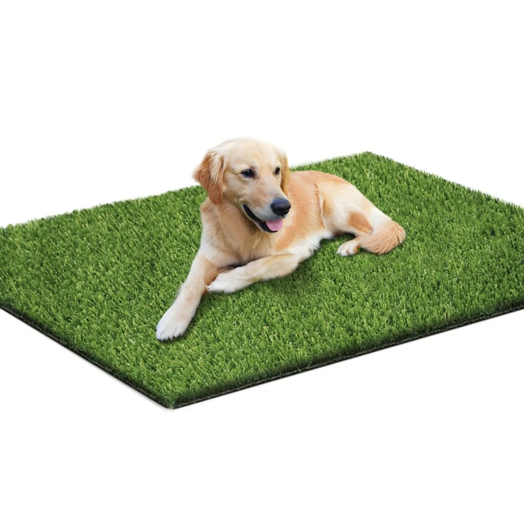Loytryal Artificial Grass Mat for Dogs