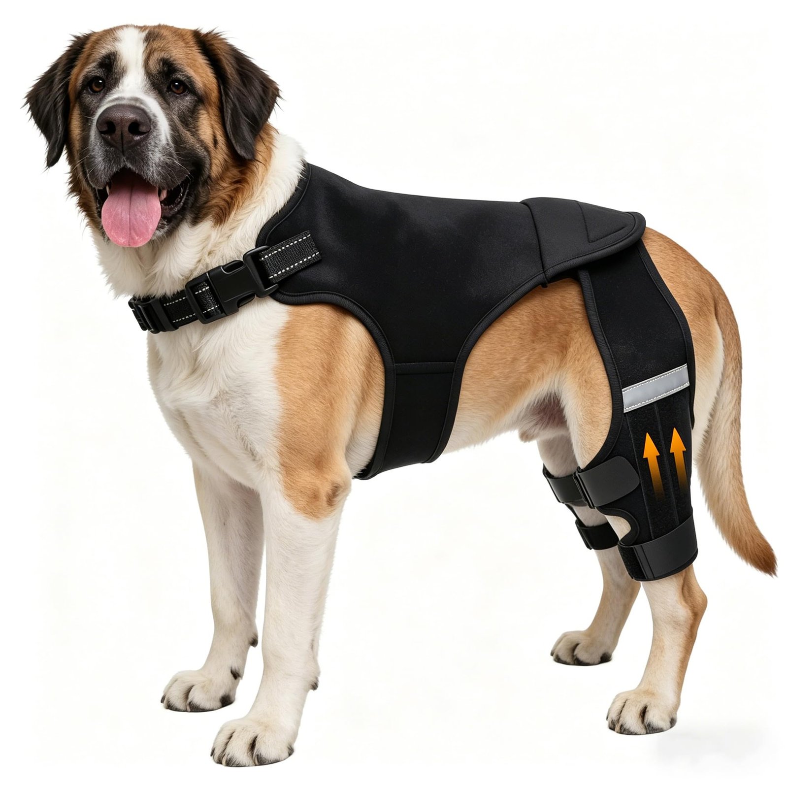 ALYBIT Dog Knee Brace for Torn ACL Hind Leg - 4 Stabilizers