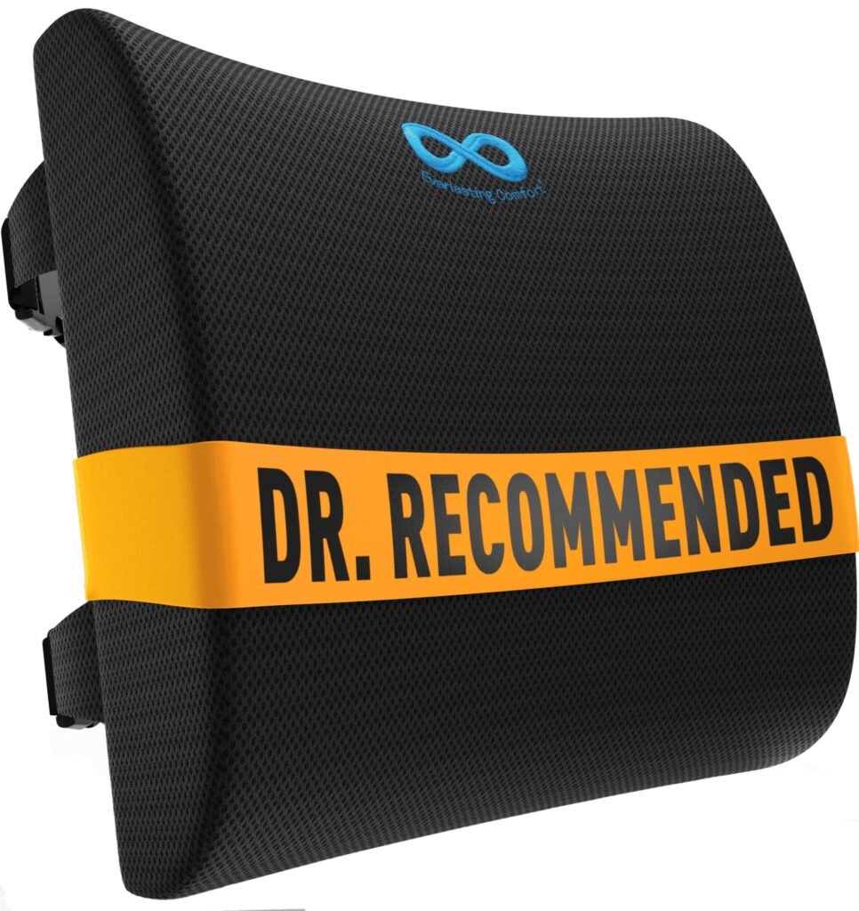Everlasting Comfort Lumbar Support Pillow for Office Chair - Memory Foam Back Cushion for Chair, Car, Couch - Lumbar Pillow Promotes Better Posture, Back Pain Relief - Ideal for Gaming and Desk Chairs